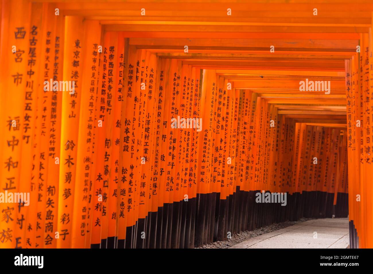Torii In Fushimi Inari Taisha Kyoto Japan Stock Photo Alamy