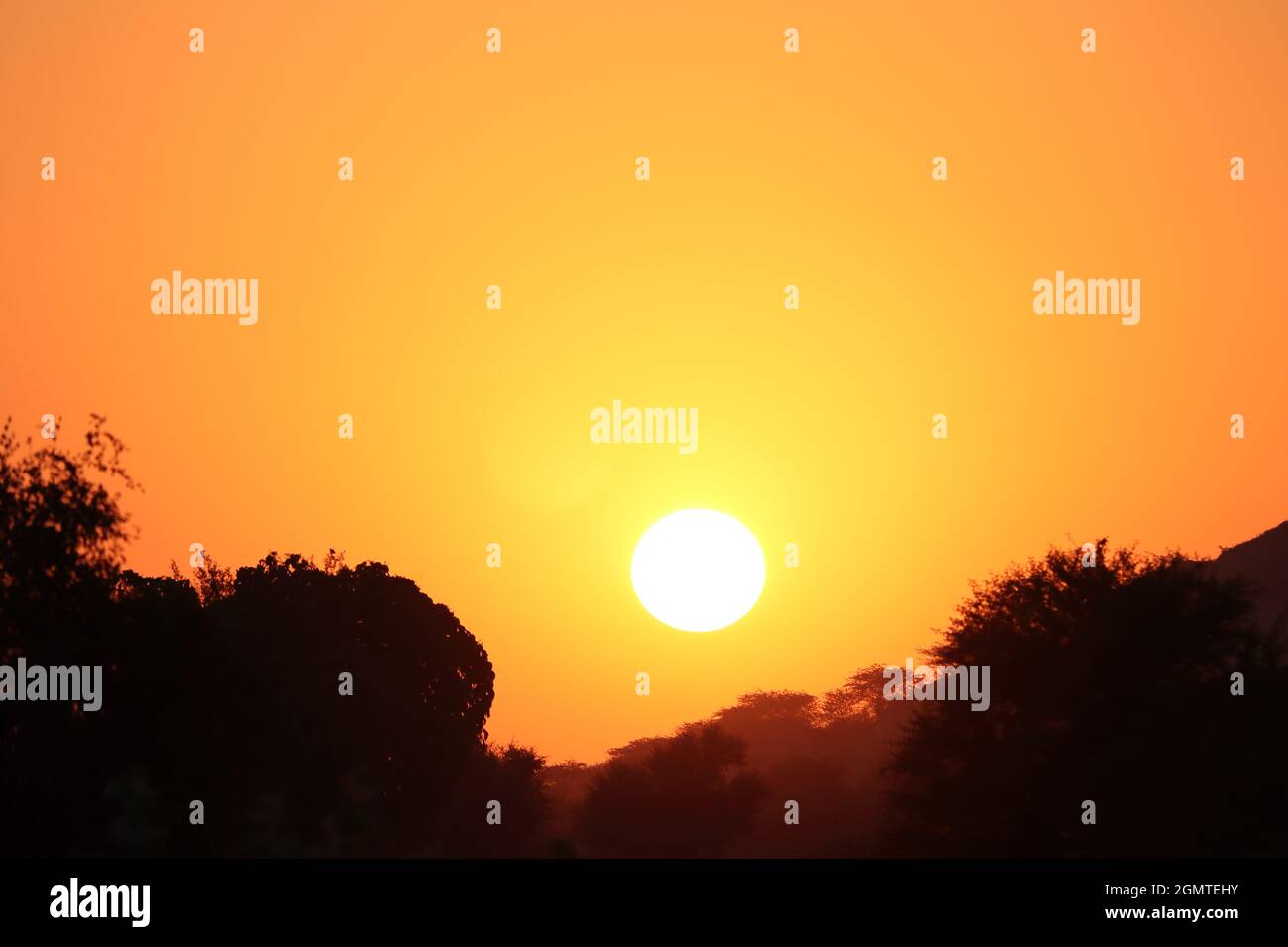 view of full round yellow bright sun and dim sunlight,Sunset behind silhouette wild trees and small hill, The full brightness and sharp of the sun in Stock Photo