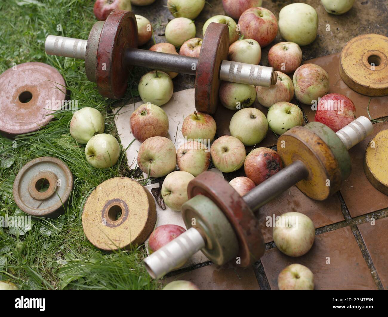 Scattered Scattered apples hi-res stock photography and images - Alamy