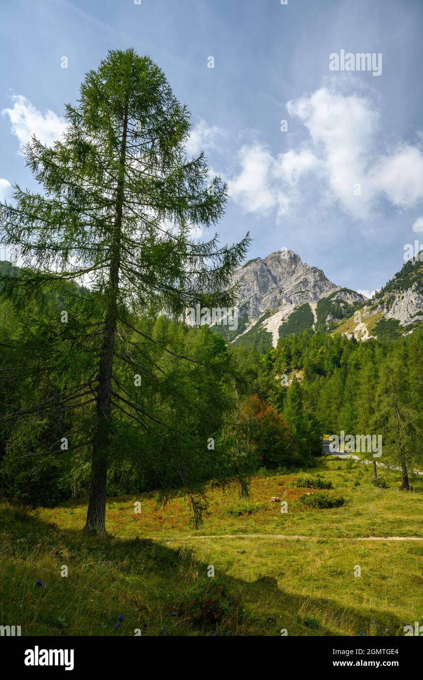 Scenic julian alps landscape hi-res stock photography and images - Alamy
