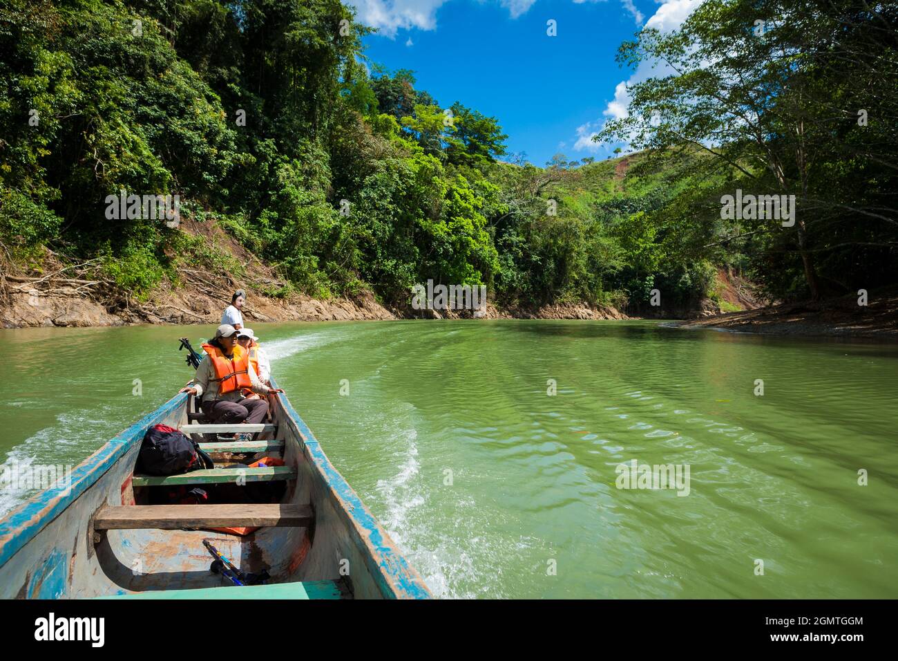 A dugout canoe with explorers is travelling upwards Rio Pequeni