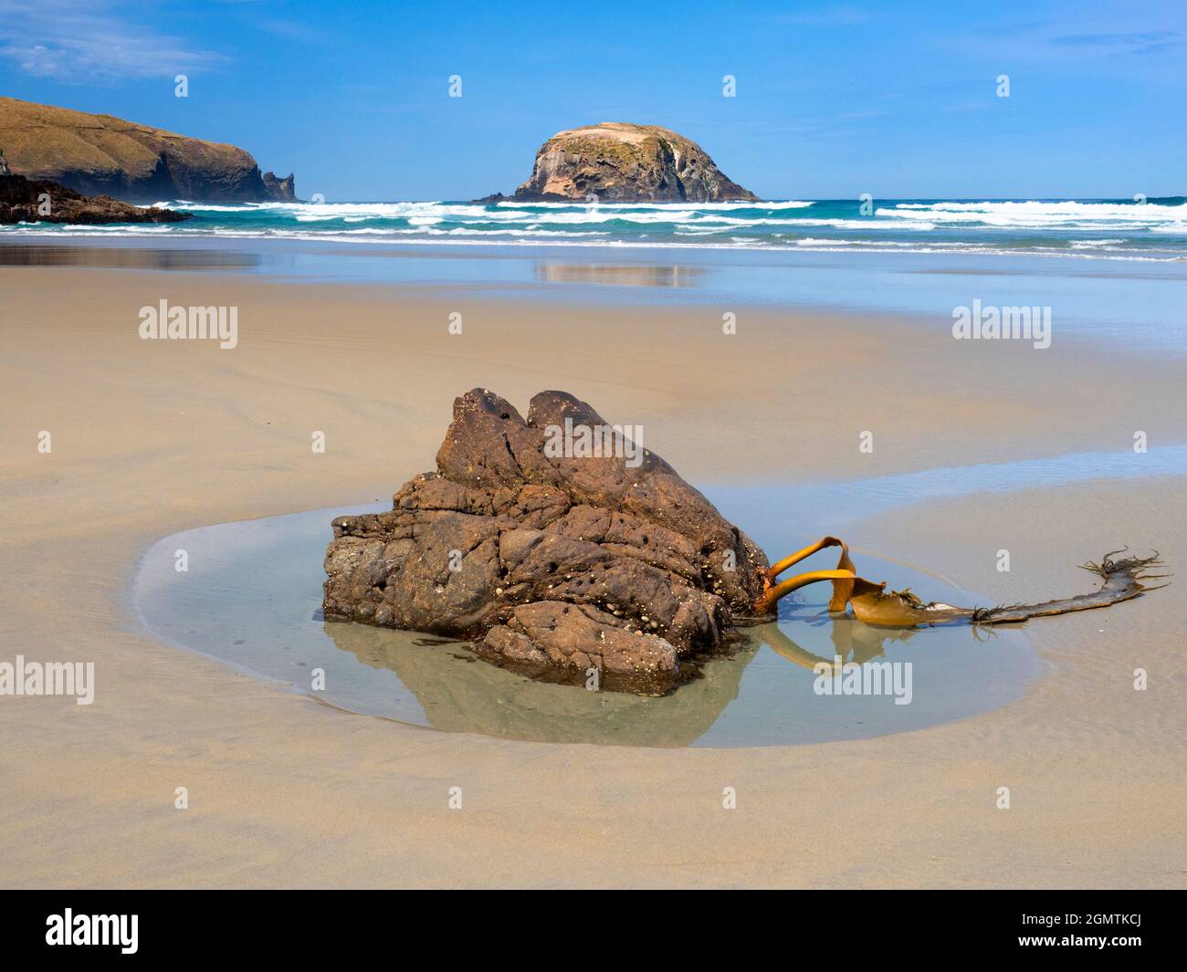 Otago, New Zealand South Island - 26 February 2019    Allans Beach is beautiful, deserted and has cosmic surf levels. Facing the Pacific, its closest Stock Photo