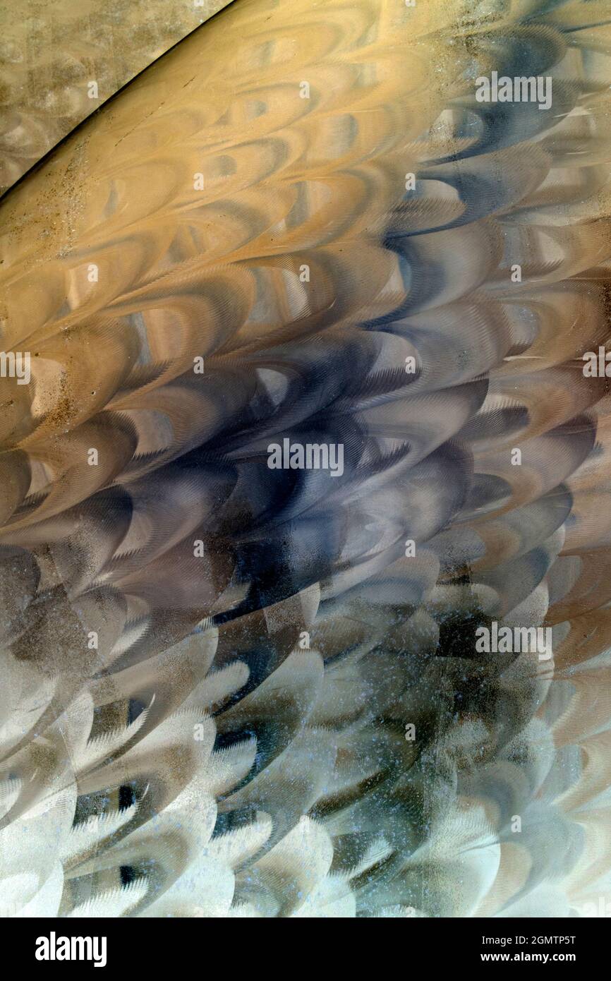 Repeated pattern reflection hi-res stock photography and images - Alamy