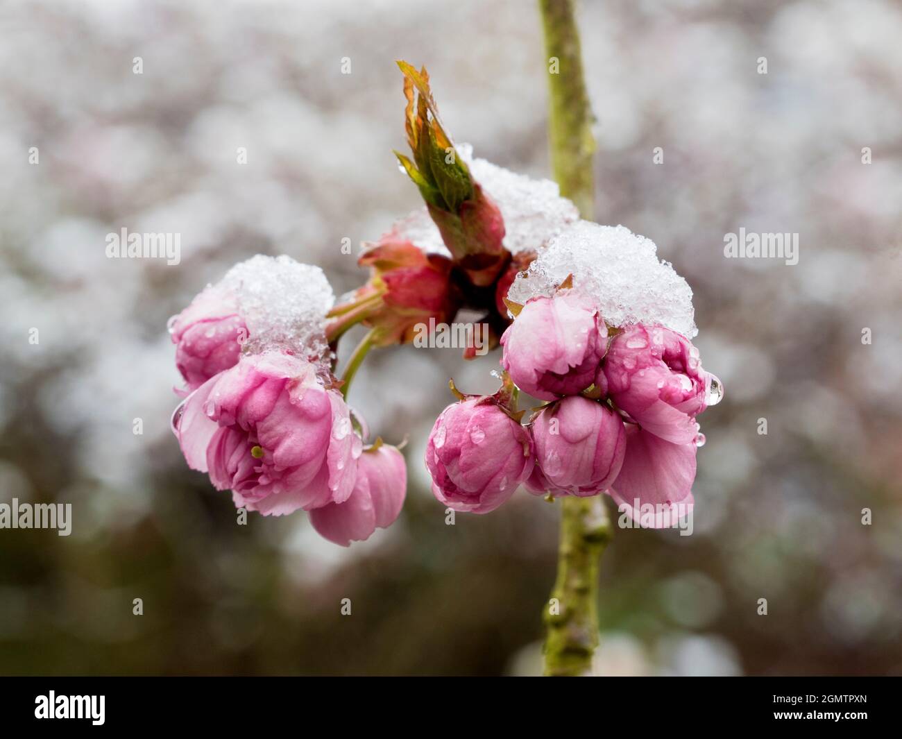 Radley Village, Oxfordshire, England 12 April 2021; no people in view