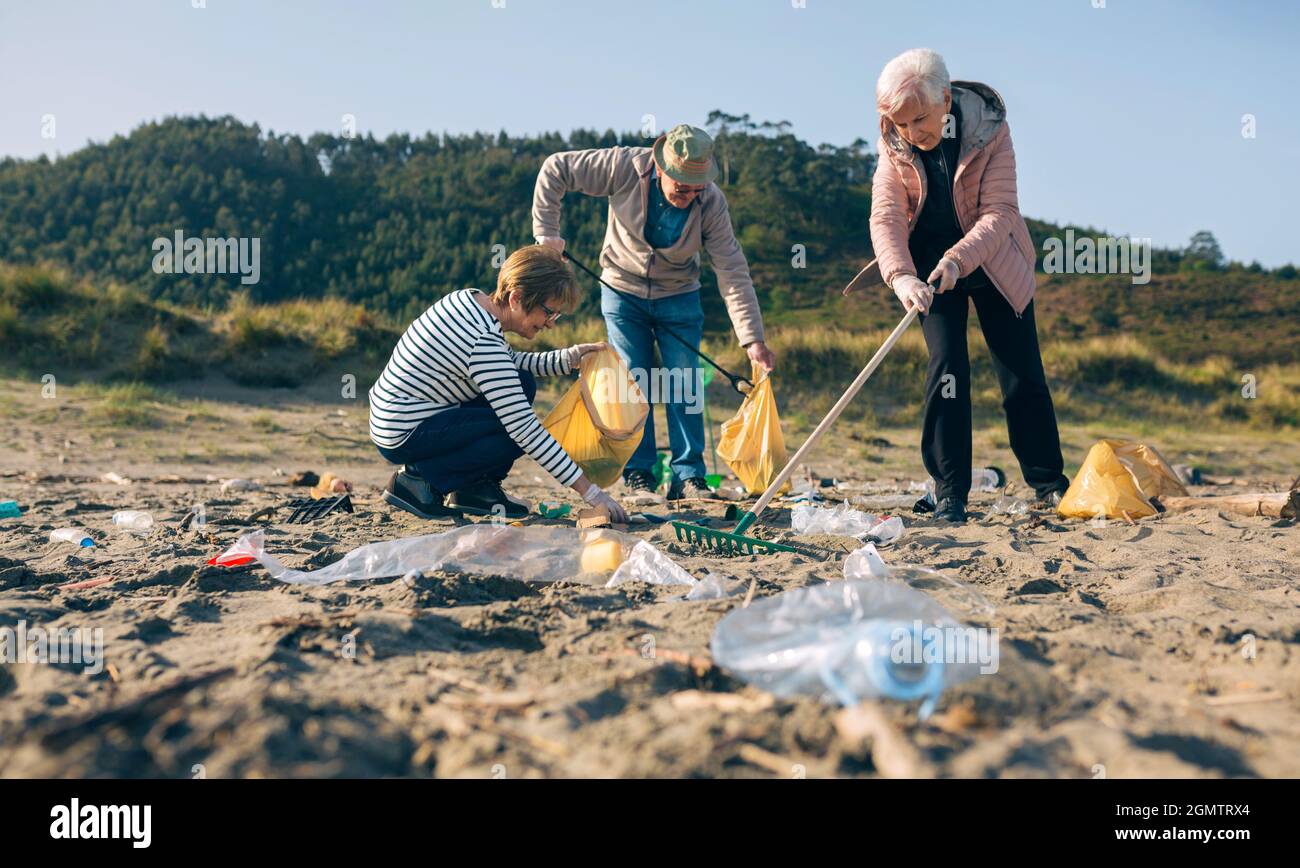 Senior volunteers cleaning the beach Stock Photo Alamy