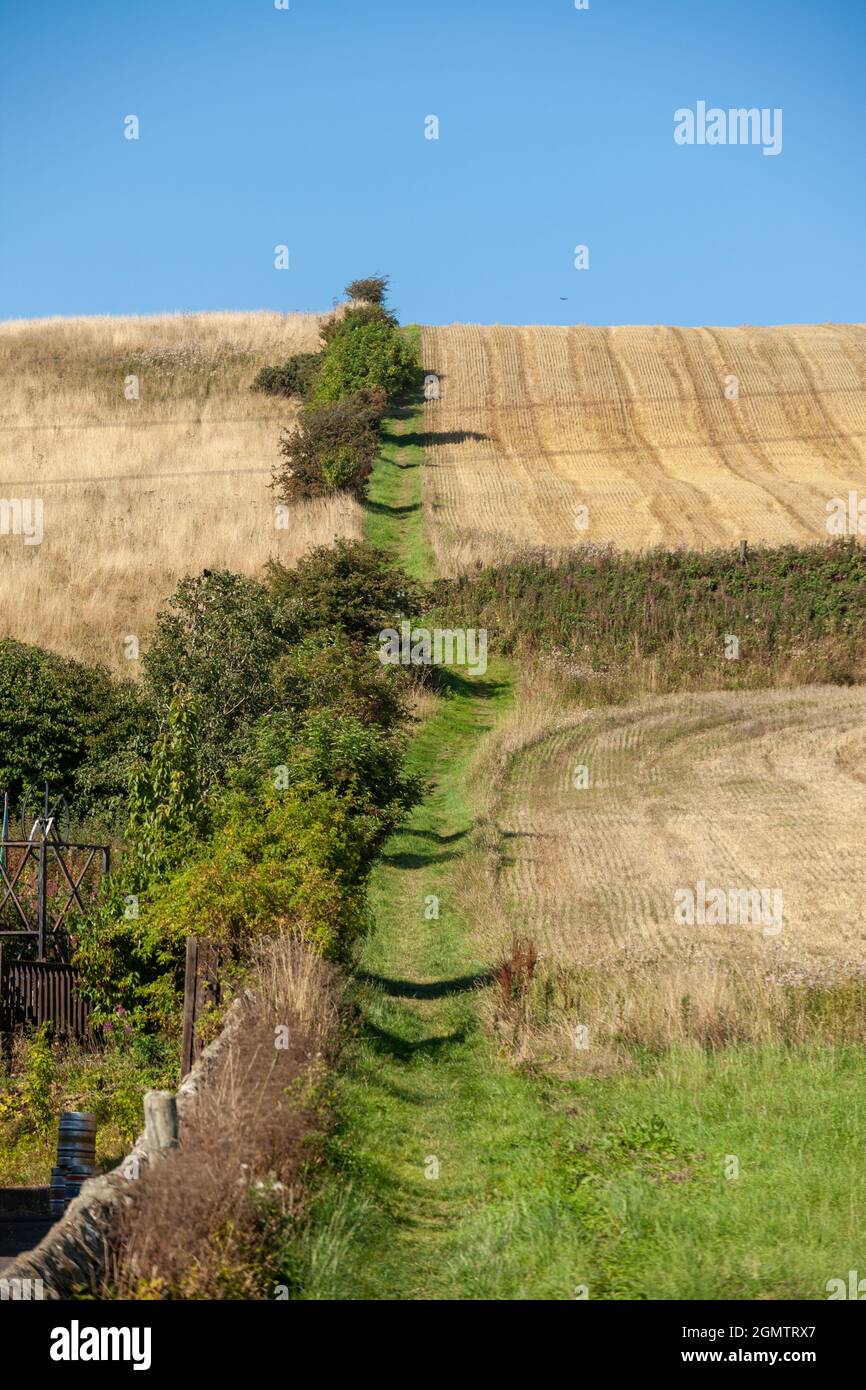 The Pilgrims Way going up hill in Kinglassie, Fife, Scotland. Stock Photo