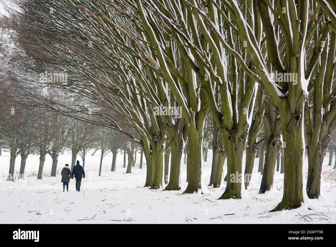 Radley, Oxfordshire, UK February 2007; One of the most beautiful