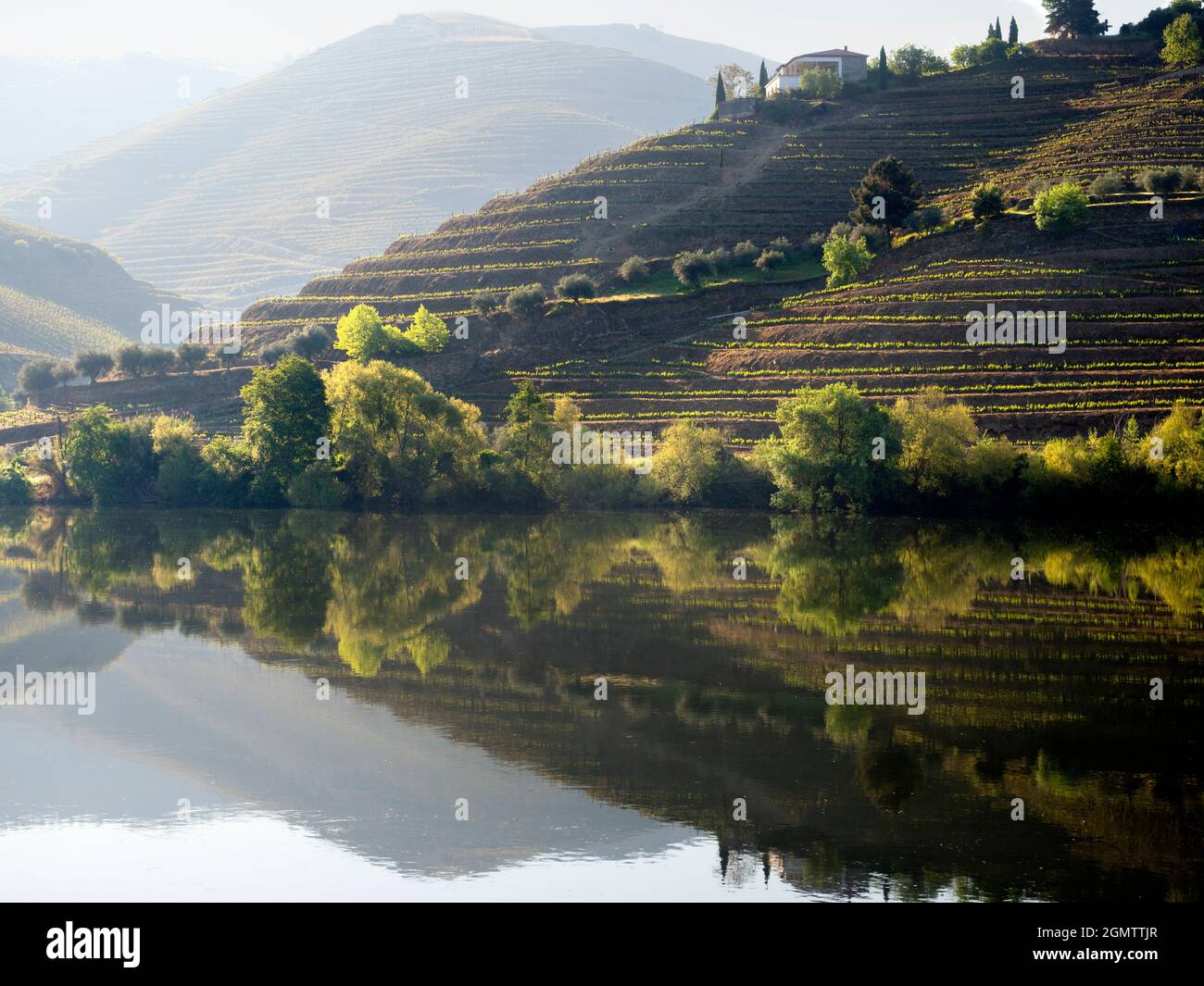 The scenic Douro Valley, which runs from the Atlantic coast at Porto all the way into Central Spain, was the first designated wine region in the world Stock Photo