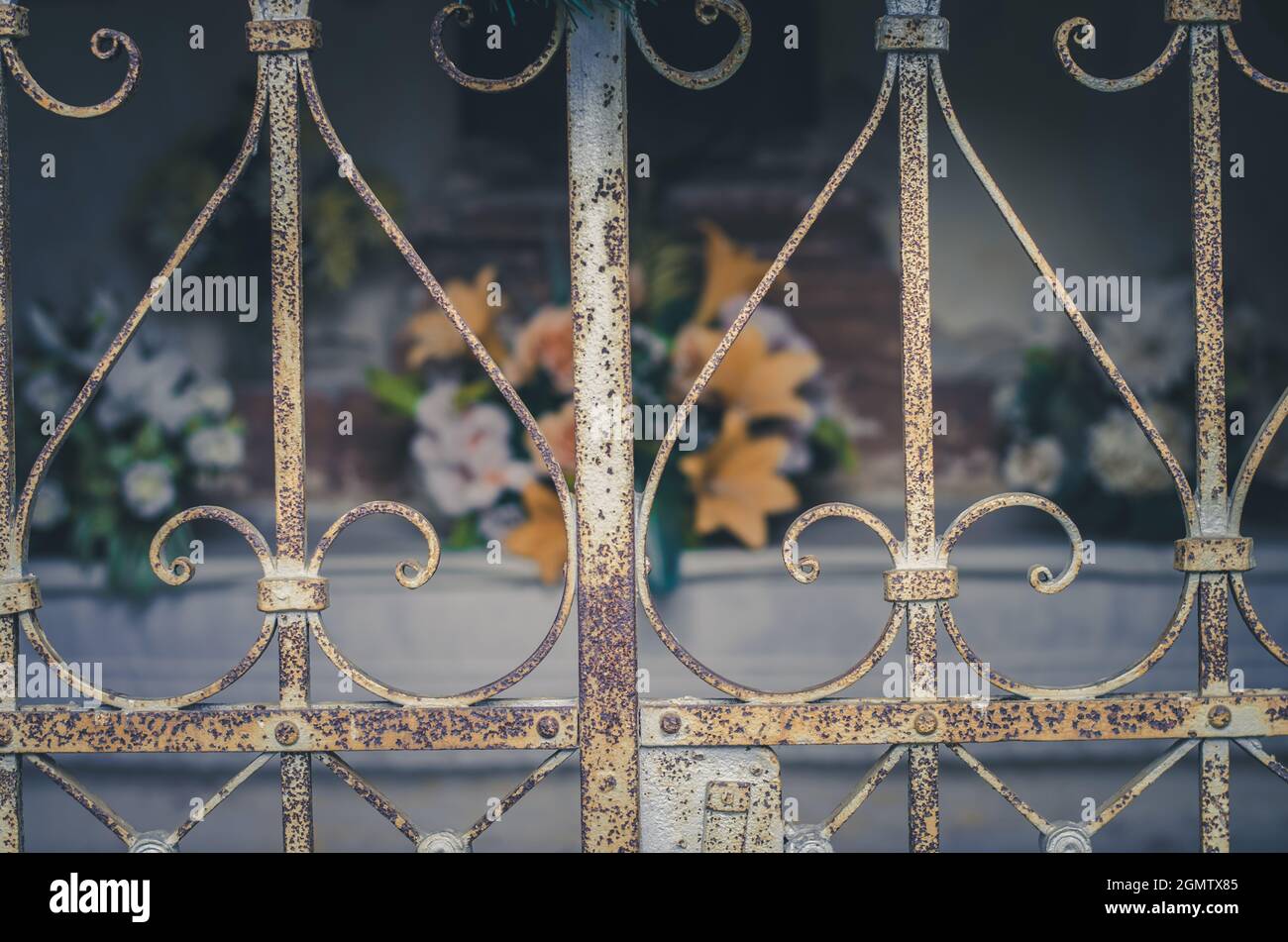 chrysanthemum flowers and funeral religious decorations on cemetery