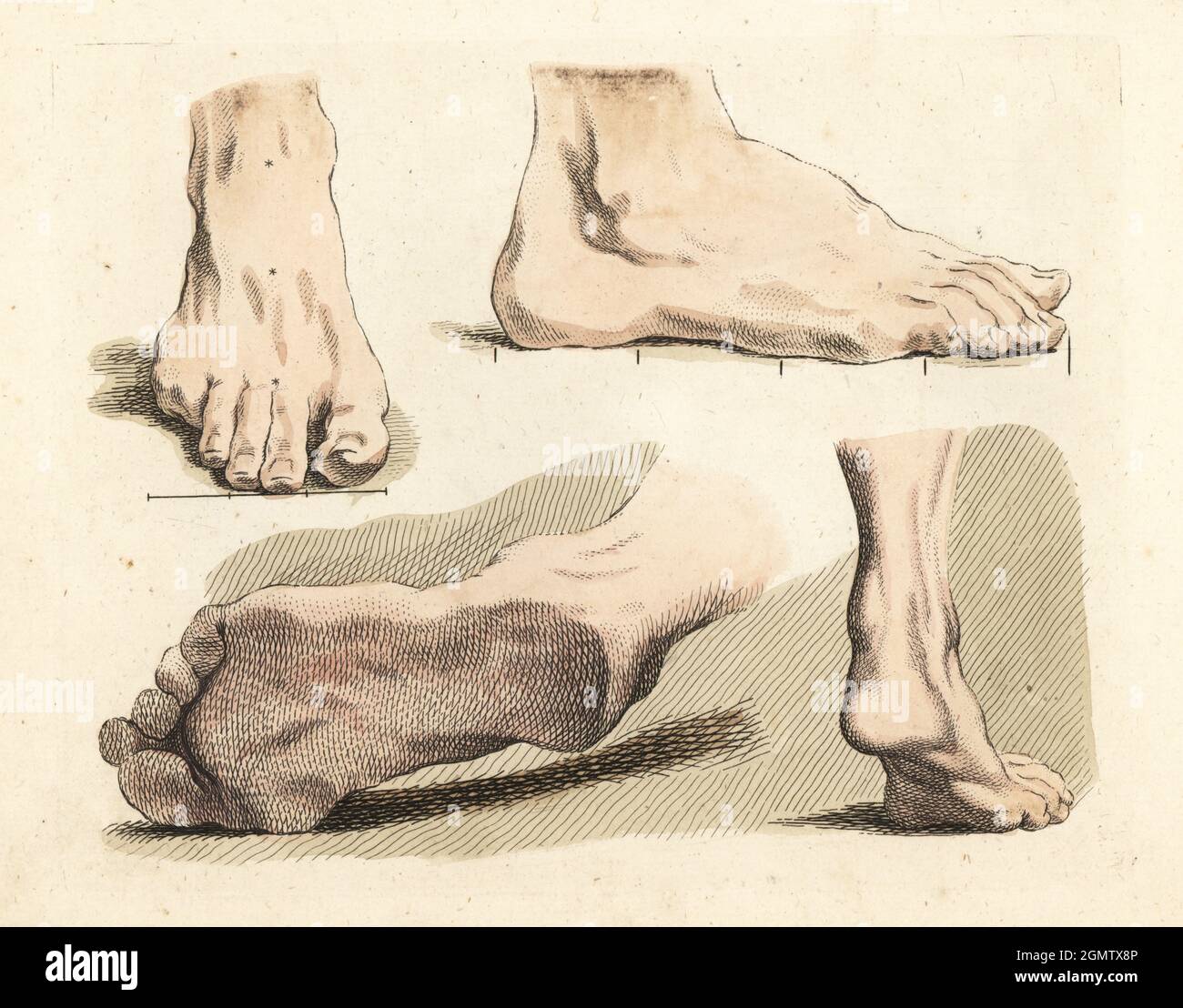 Male Foot Masters