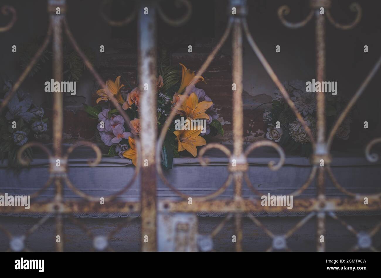 chrysanthemum flowers and funeral religious decorations on cemetery