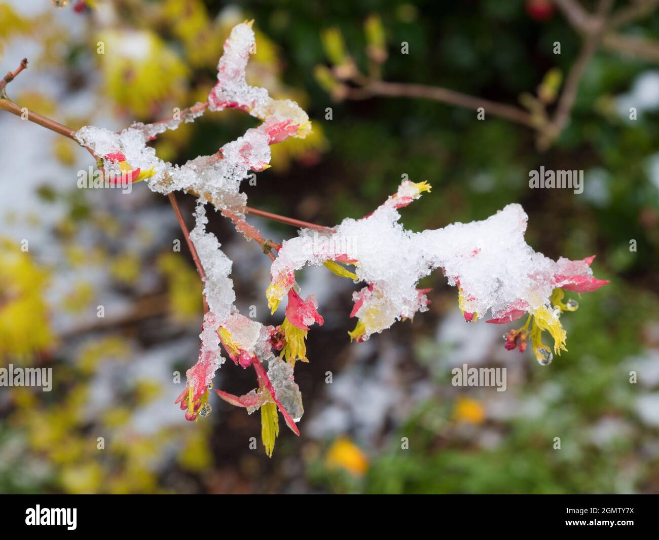 Radley Village, Oxfordshire, England 12 April 2021; no people in view