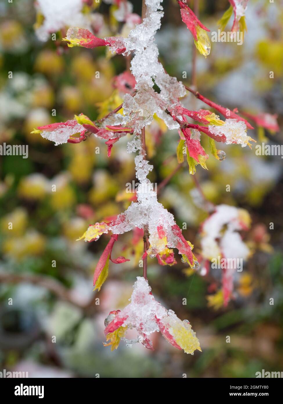 Radley Village, Oxfordshire, England 12 April 2021; no people in view