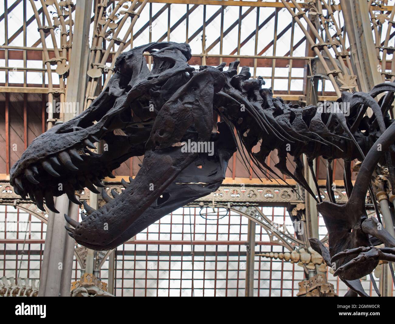 Oxford, England - 2014; The Pitt Rivers Museum is a museum displaying ...