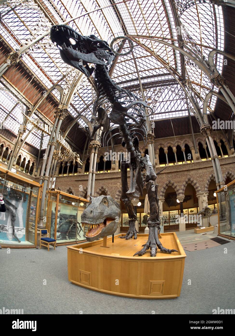 Oxford, England - 2014; The Pitt Rivers Museum is a museum displaying ...