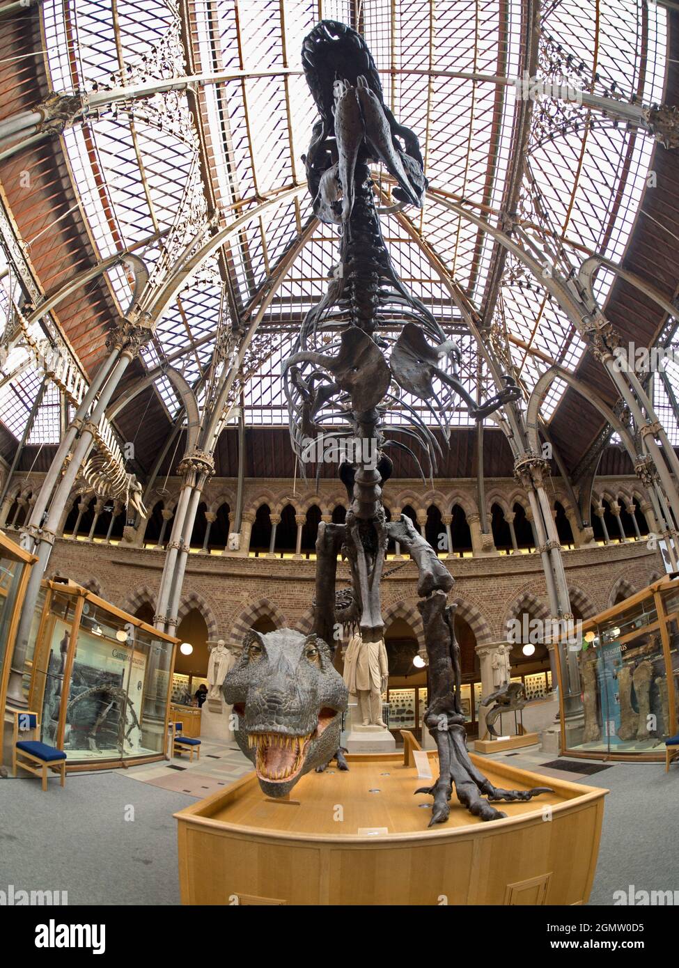 Oxford, England - 2014; The Pitt Rivers Museum is a museum displaying ...