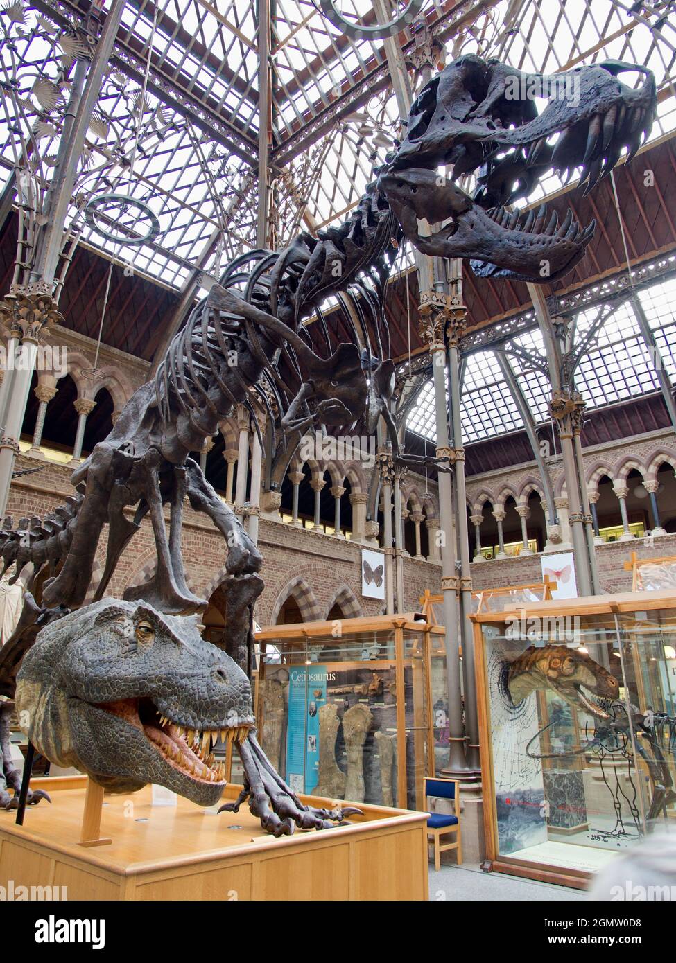 Oxford, England - 2014; The Pitt Rivers Museum is a museum displaying ...