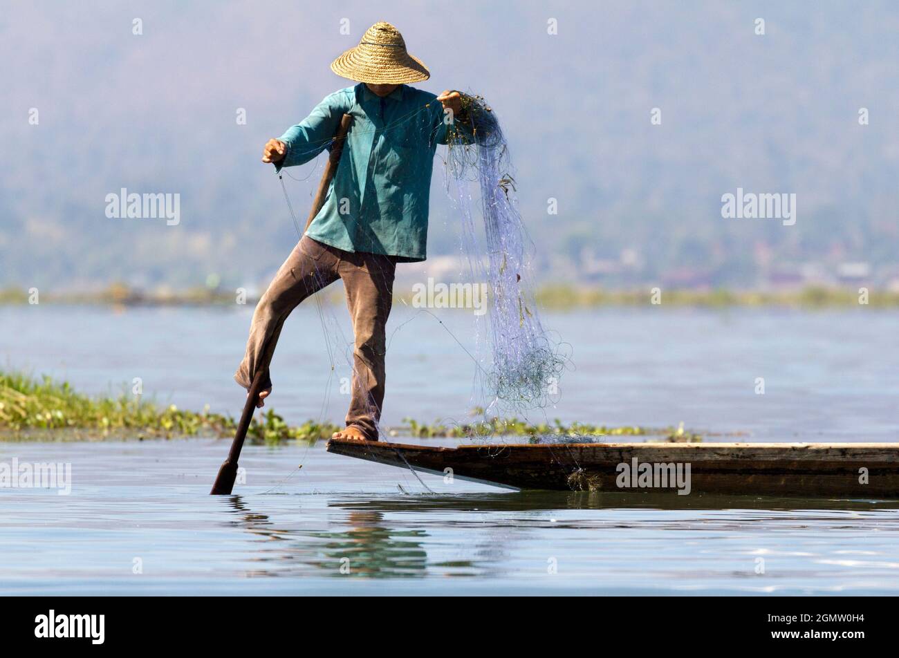 Freshwater fish of myanmar hi-res stock photography and images - Alamy