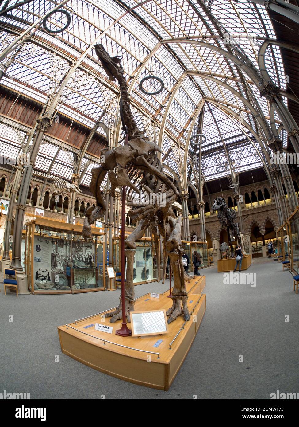 Oxford, England - 2014; The Pitt Rivers Museum is a museum displaying ...
