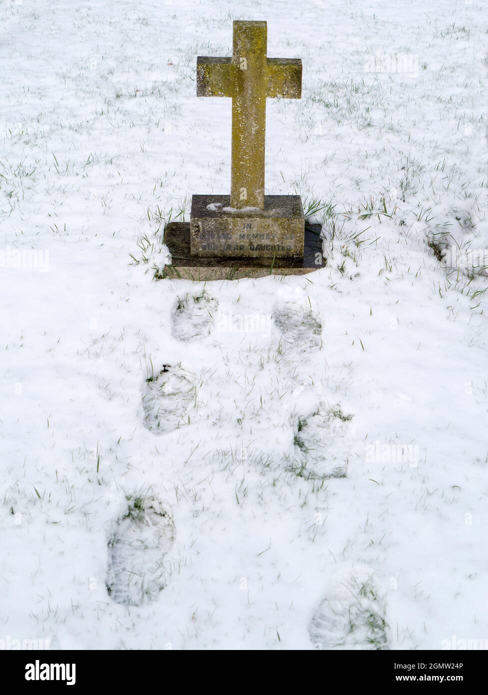 Radley, Oxfordshire, UK -  January 2010; Seen in the graveyard of our local parish church of St James the Great in Radley Village. Here we see it, unu Stock Photo