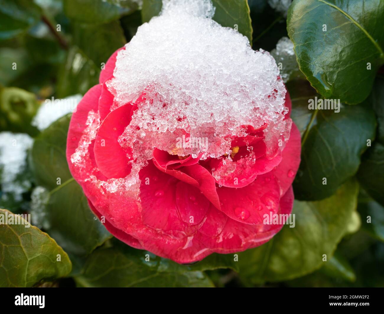 Radley Village, Oxfordshire, England 12 April 2021; no people in view