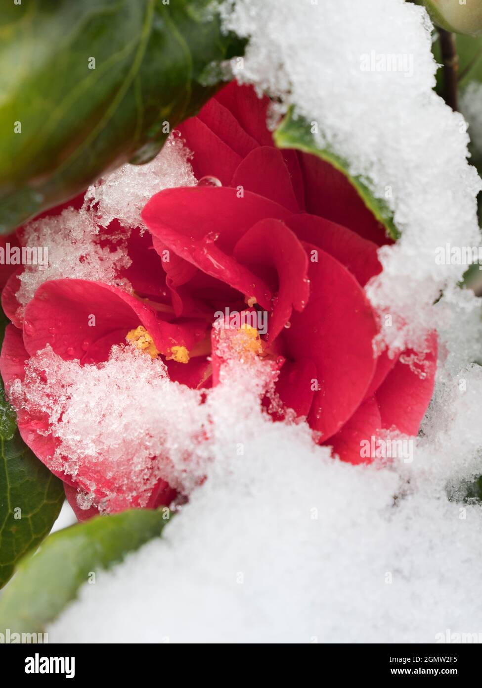 Radley Village, Oxfordshire, England 12 April 2021; no people in view