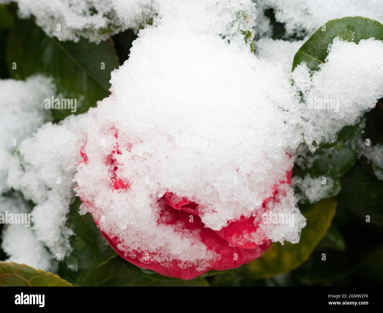 Radley Village, Oxfordshire, England 12 April 2021; no people in view