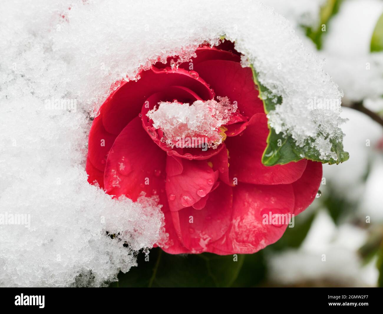 Radley Village, Oxfordshire, England 12 April 2021; no people in view