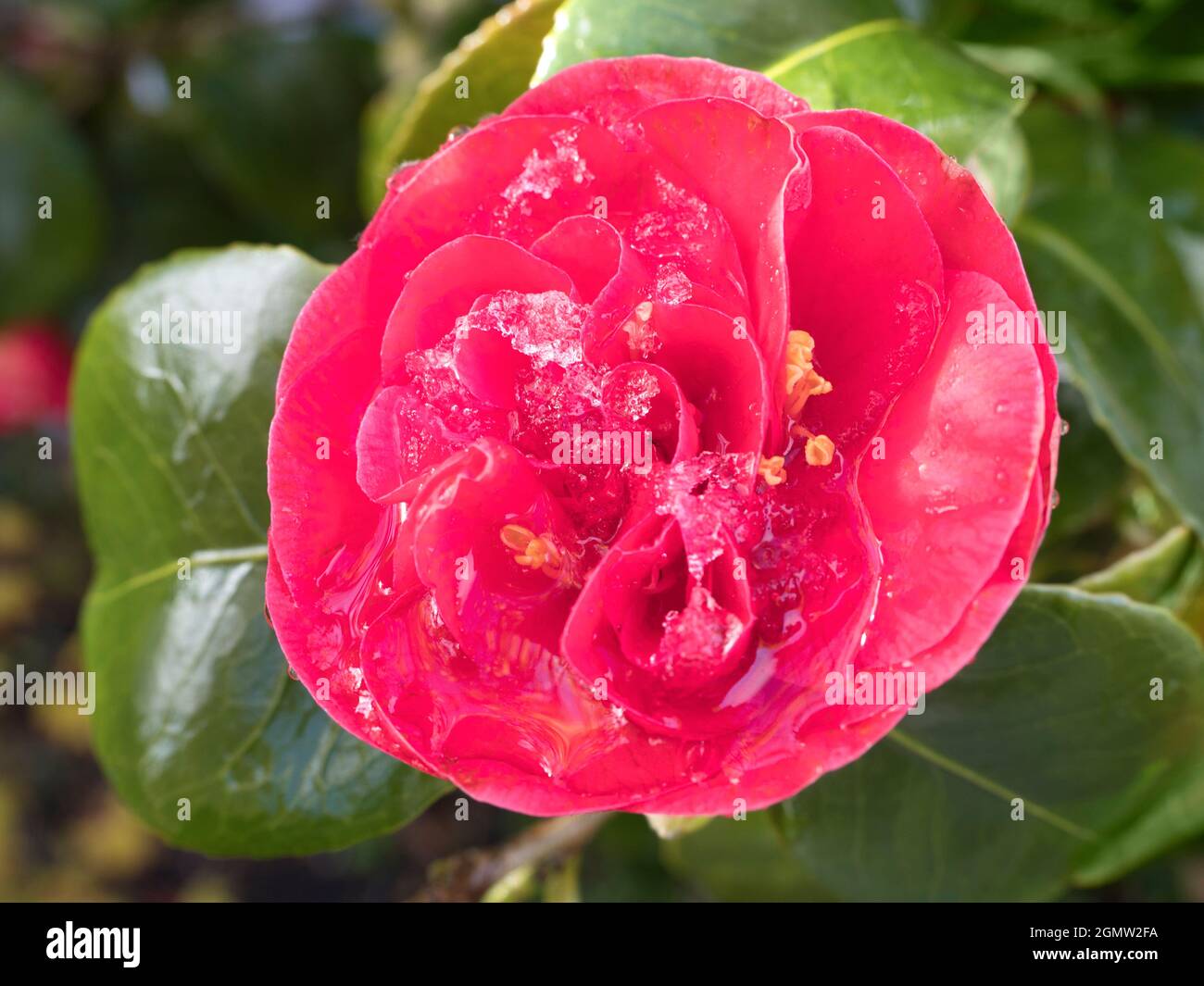 Radley Village, Oxfordshire, England 12 April 2021; no people in view