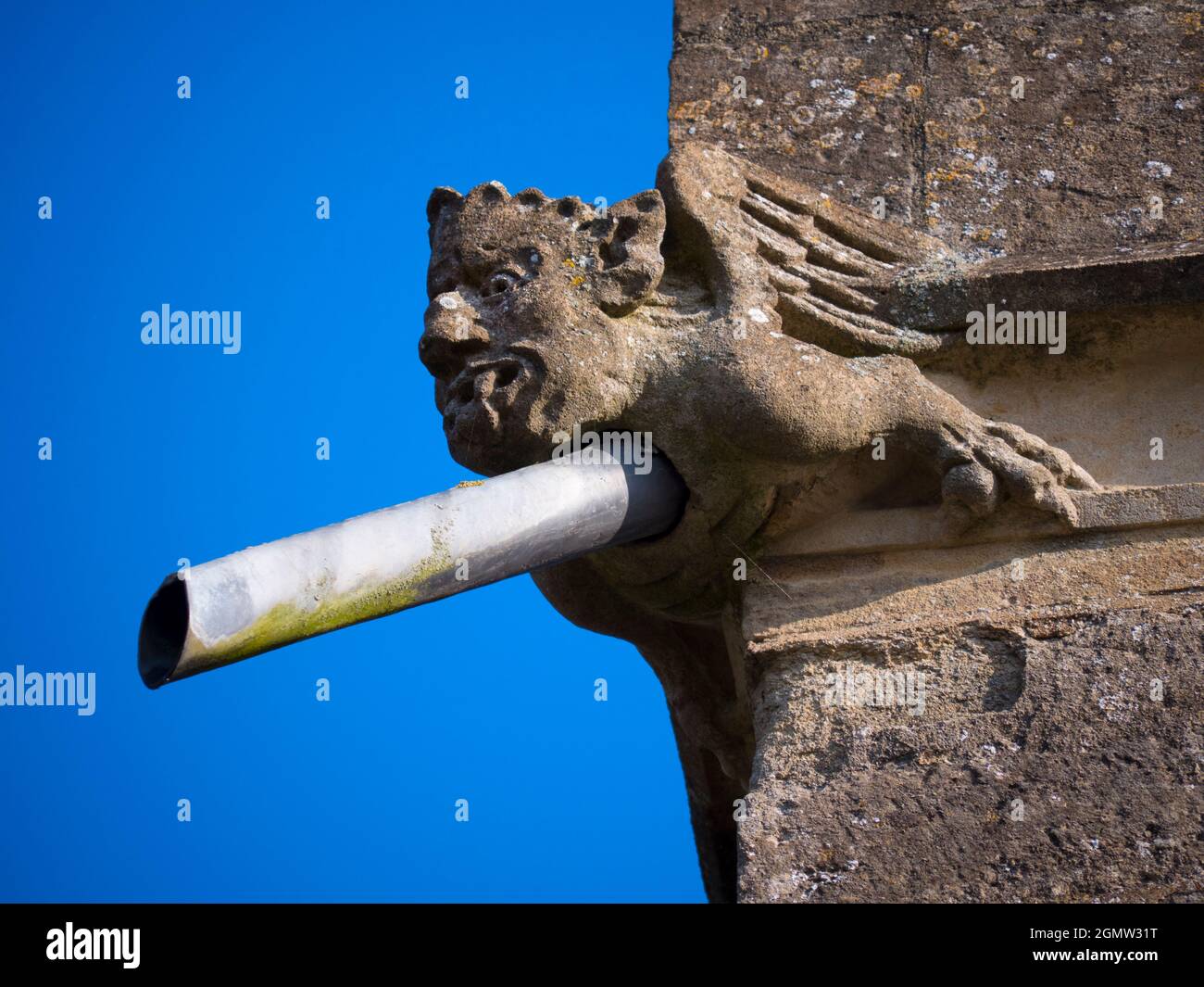 Radley, Oxfordshire, England - 11 April 2021;  no people in view.   A quirky, dual-purpose drainpipe gargoyle stuck on top of the walls of my local pa Stock Photo