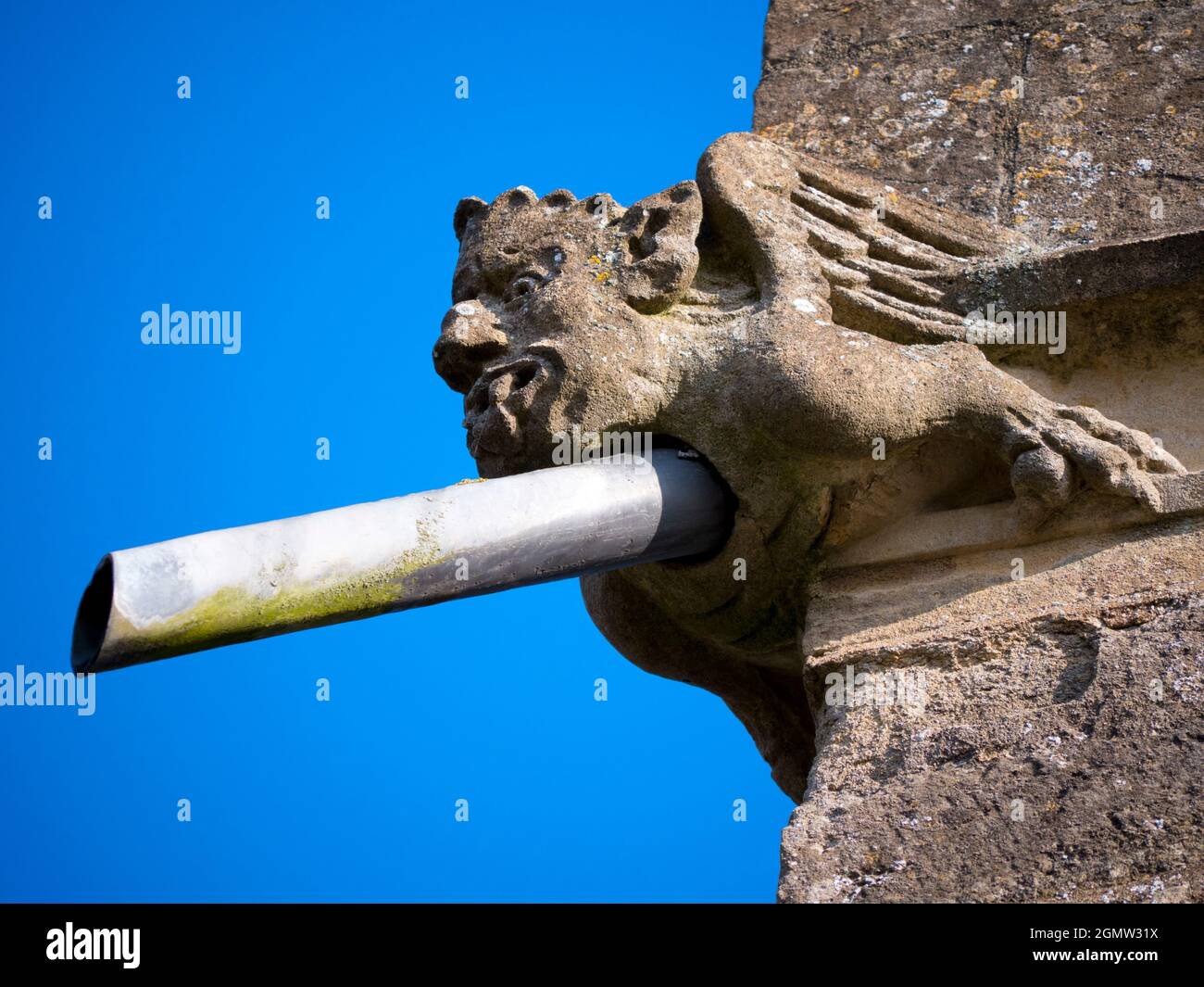 Radley, Oxfordshire, England - 11 April 2021;  no people in view.   A quirky, dual-purpose drainpipe gargoyle stuck on top of the walls of my local pa Stock Photo