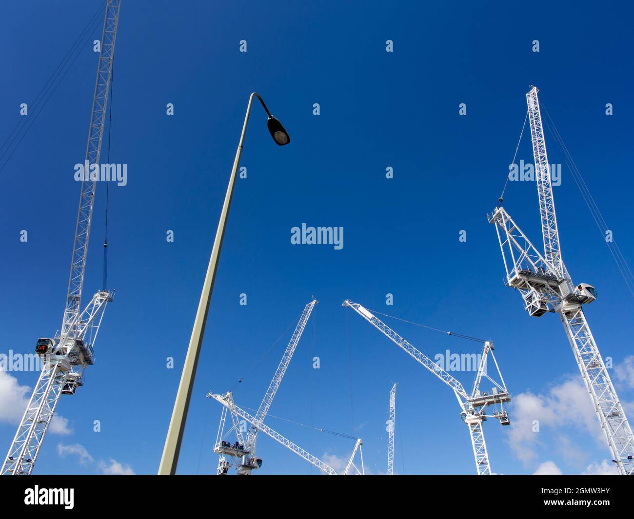 These mammoth cranes are all at work on 