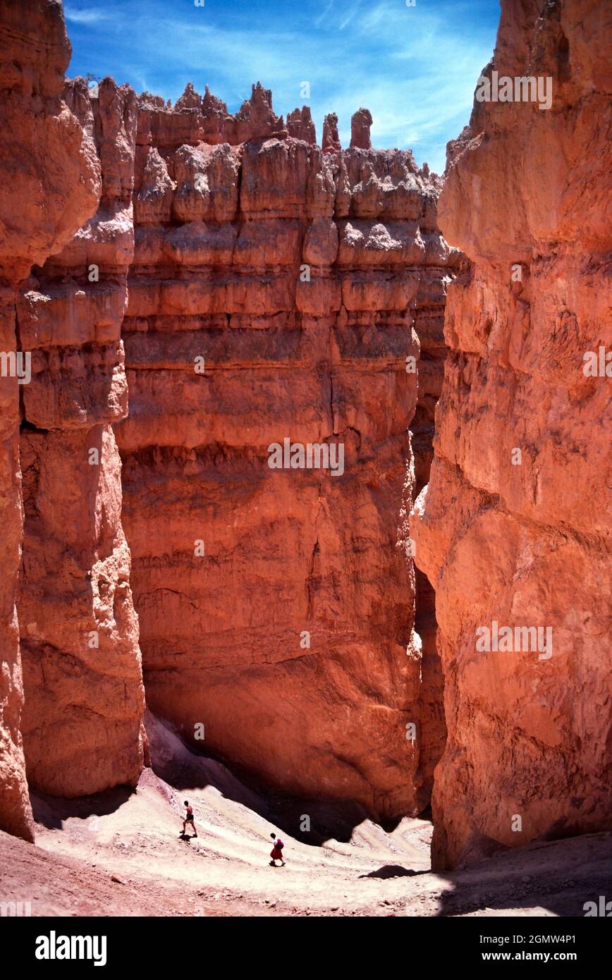 Bryce Canyon, Utah, USA - 3 June 2008 Bryce Canyon National Park is  located in southwestern Utah in the United States. The canyon is a collection of Stock Photo