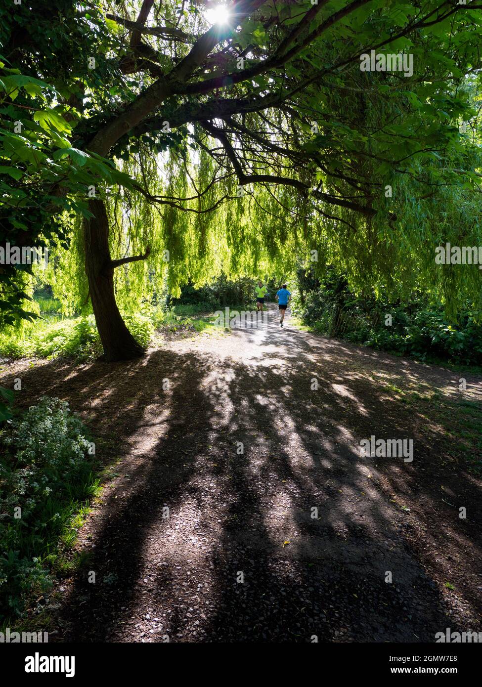 Abingdon, England - 4 May 2019; two men in shot, jogging.  This beautiful footpath runs through Abbey Fields in Abingdon, England. Named after the med Stock Photo