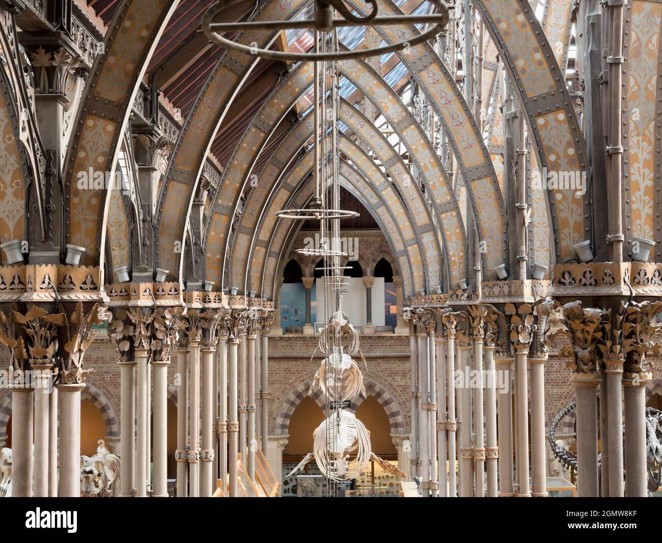 Oxford, England - 2014; The Pitt Rivers Museum is a museum displaying ...