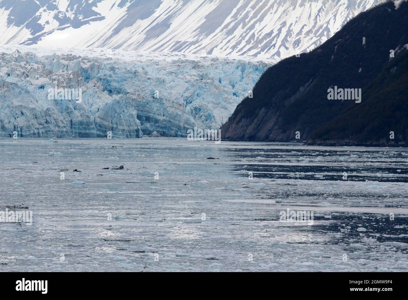 Hubbard Glacier is located in eastern Alaska and part of Yukon, Canada, and named after Gardiner Hubbard. It is a favoured view for all sightseeing cr Stock Photo