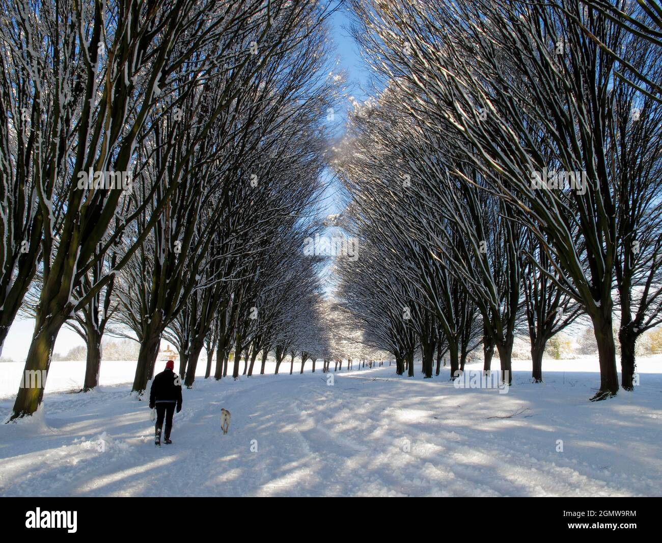 Radley, Oxfordshire, UK February 2007; One of the most beautiful