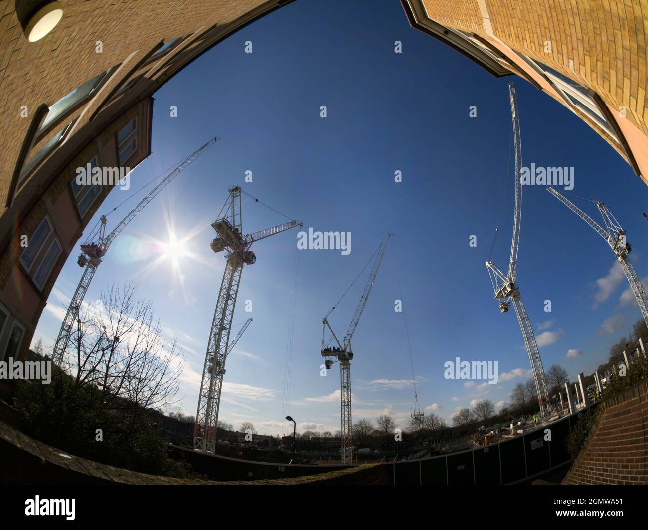 These mammoth cranes are all at work on 