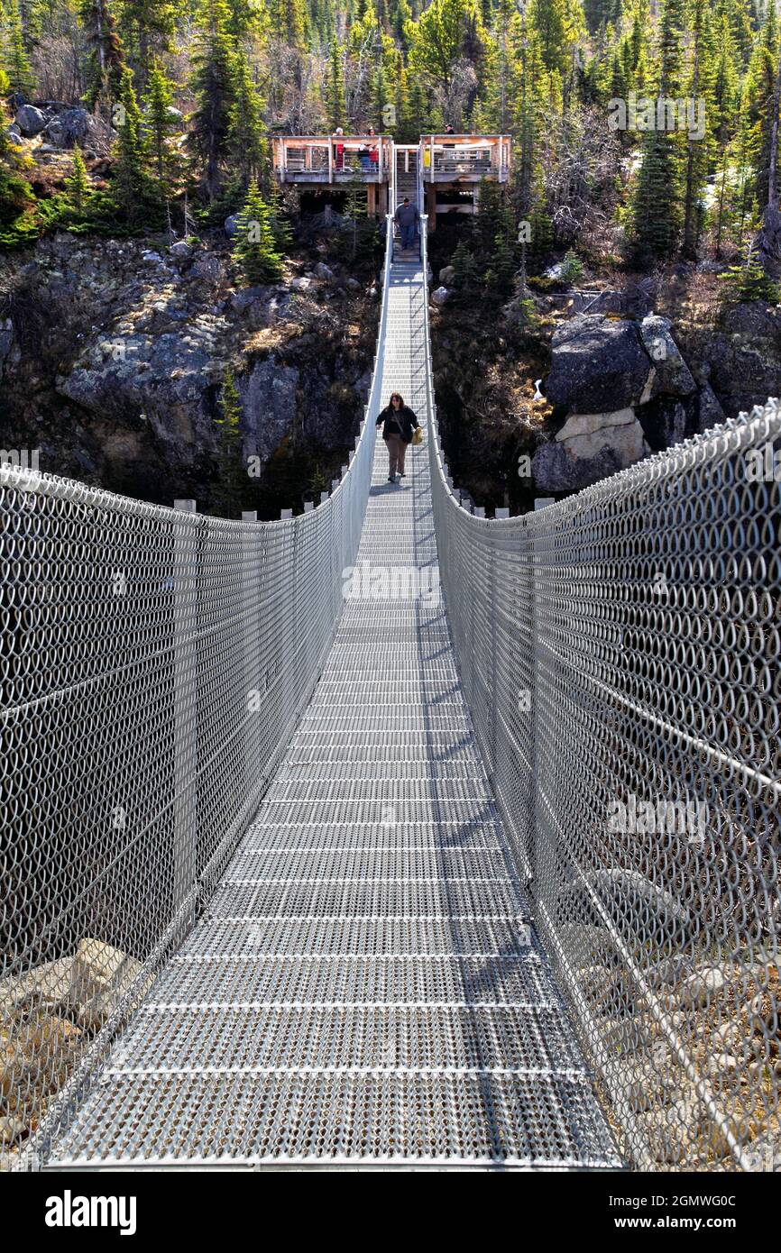 British Columbia, Canada - 24 May 20120; one person in view. This scary bridge over the Yukon River in Canada spans a steep valley leading to a drop t Stock Photo