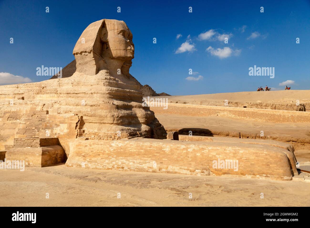 EGYPT ～エジプト～HUMAN The F.B.I. Helped a Museum Learn the Identity of a 4,000