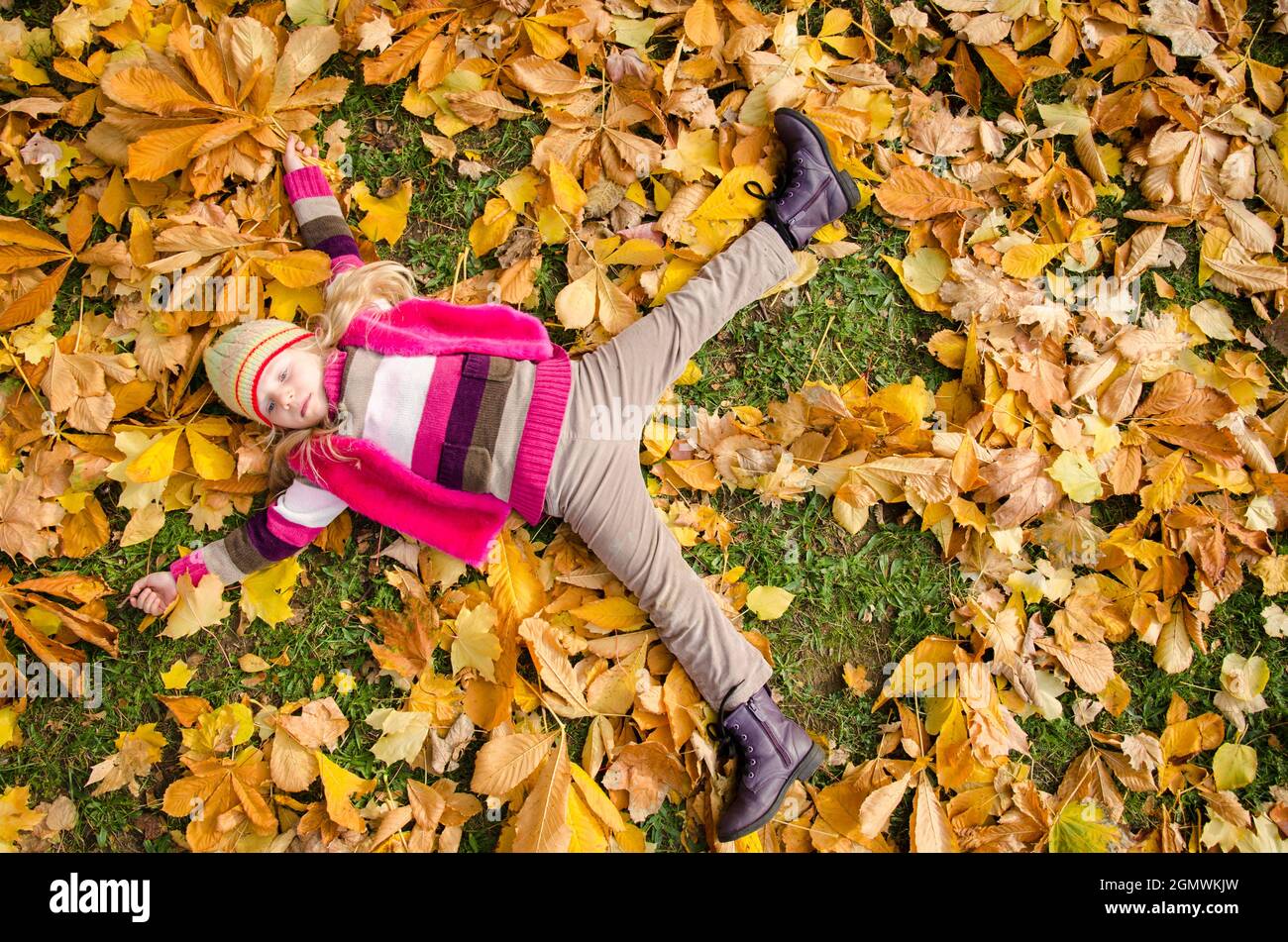 cute girl lying in autumn leaves in the park Stock Photo - Alamy