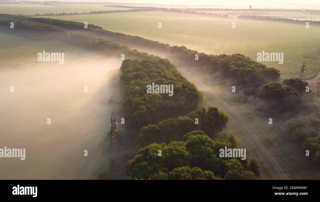 Fog over forest railway tracks hi-res stock photography and images - Alamy