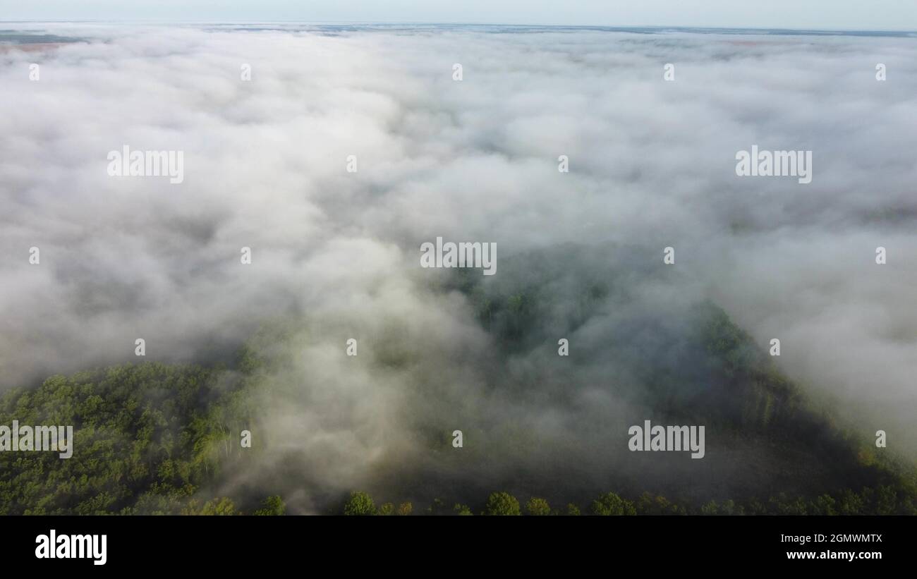 Aerial flight over pine tree hi-res stock photography and images - Alamy