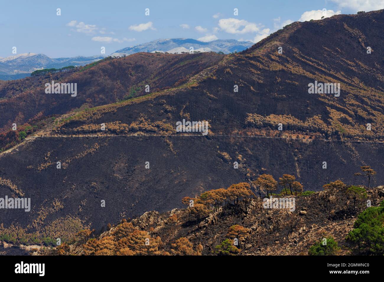 Fire in Jubrique, border with Sierra Bermeja in the Genal Valley, Malaga. Andalusia, Spain. September 2021 Stock Photo