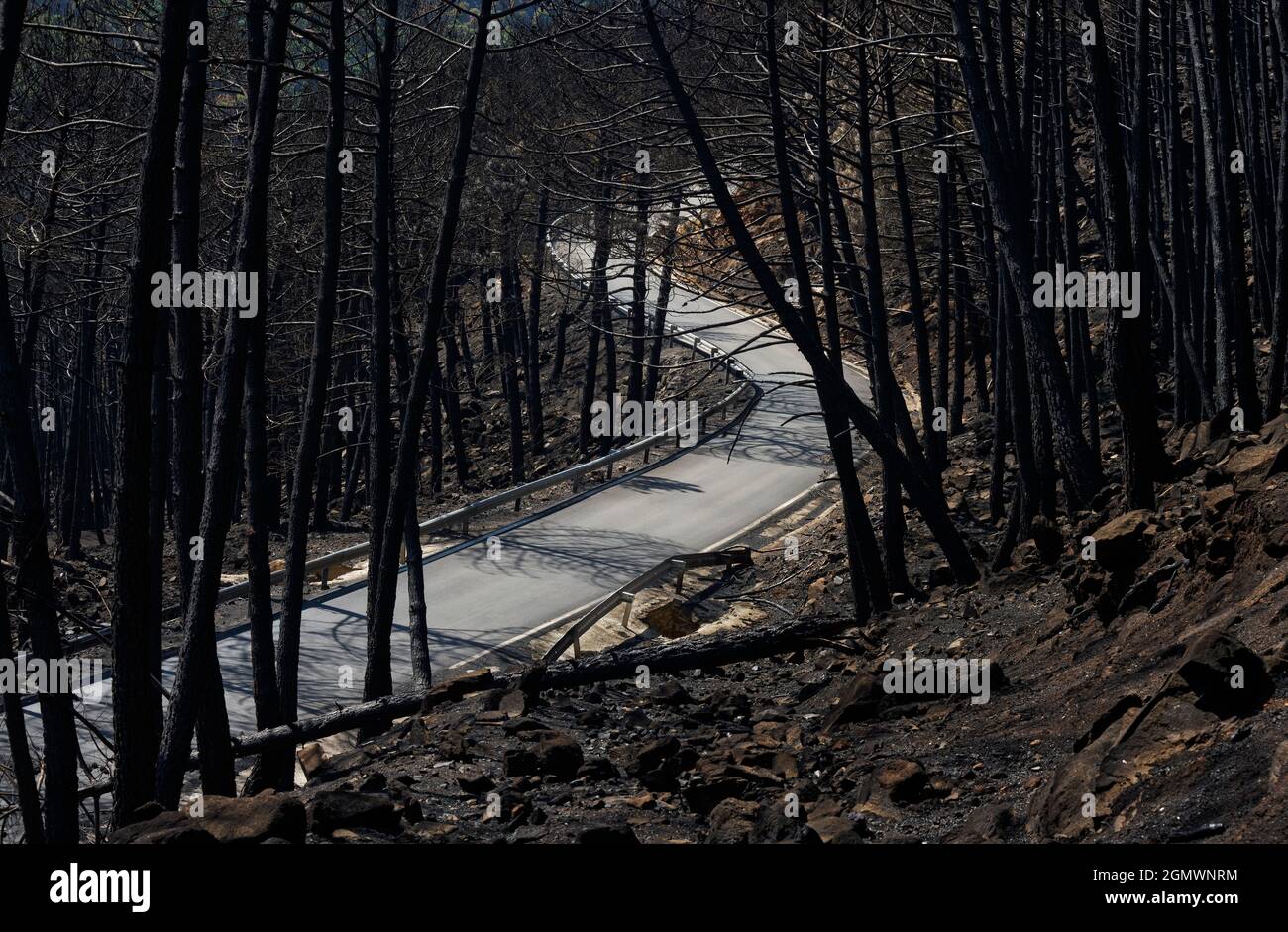 road in the middle of the Genalguacil fire, border with Sierra Bermeja in the Genal Valley, Malaga. Andalusia, Spain. September 2021 Stock Photo