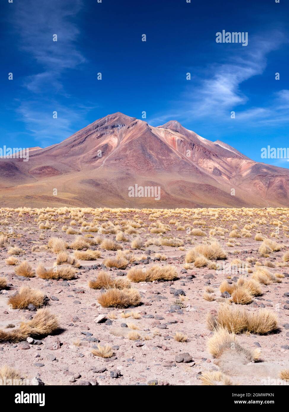 Chilean Altiplano, Chile - 26 May 2018   The Chilean Altiplano  is high, dry, oxygen starved and seared by UV radiation. Not nice. But here it offers Stock Photo