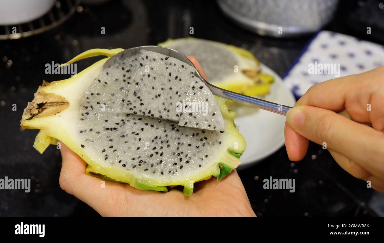 Hand holding half of a yellow dragon fruit, scooping out its flesh with a metal spoon with the other hand. Stock Photo