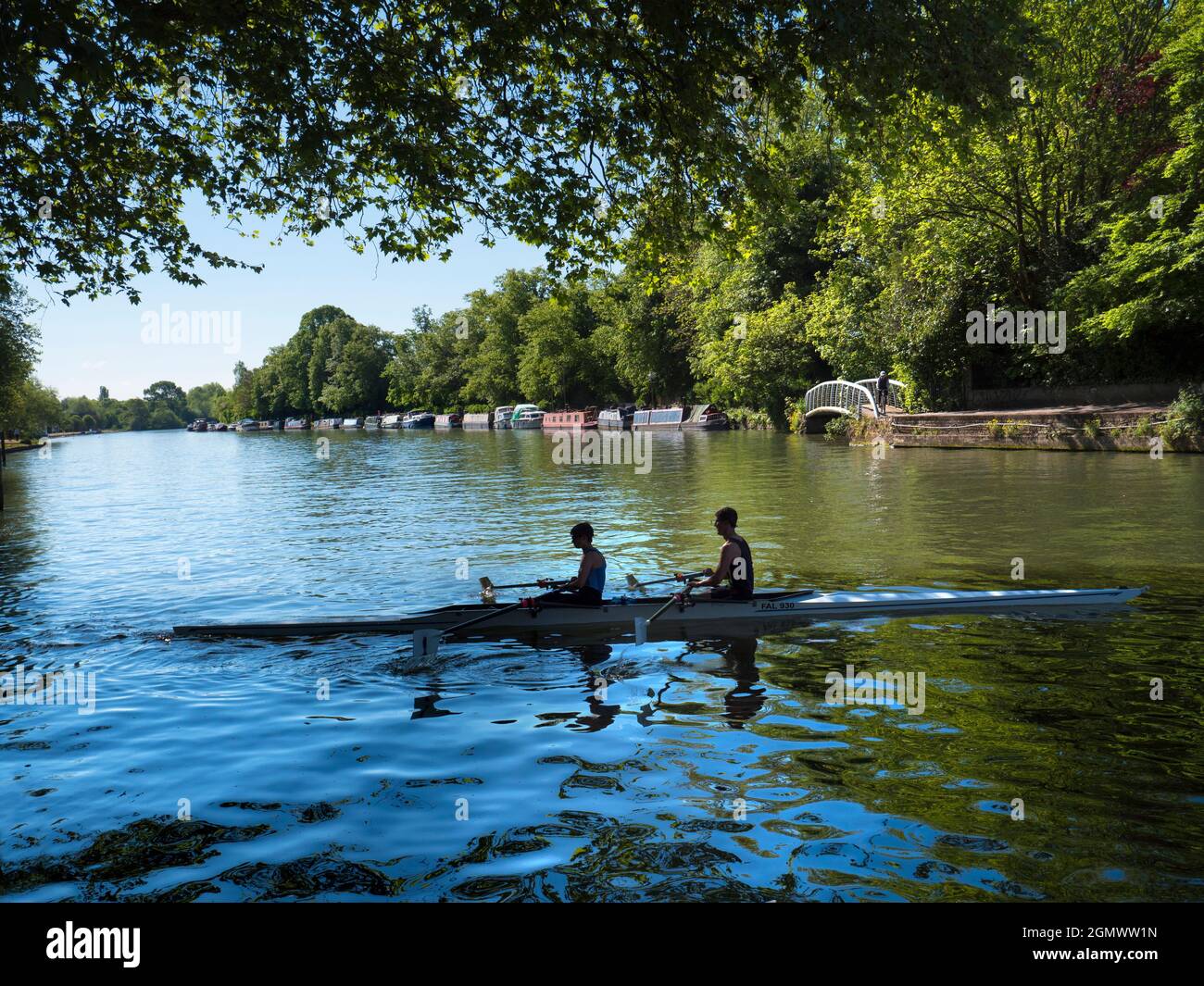Oxford Bridge Rowing Oxford, England - 21 May 2019; two university members rowing. Rowing ...