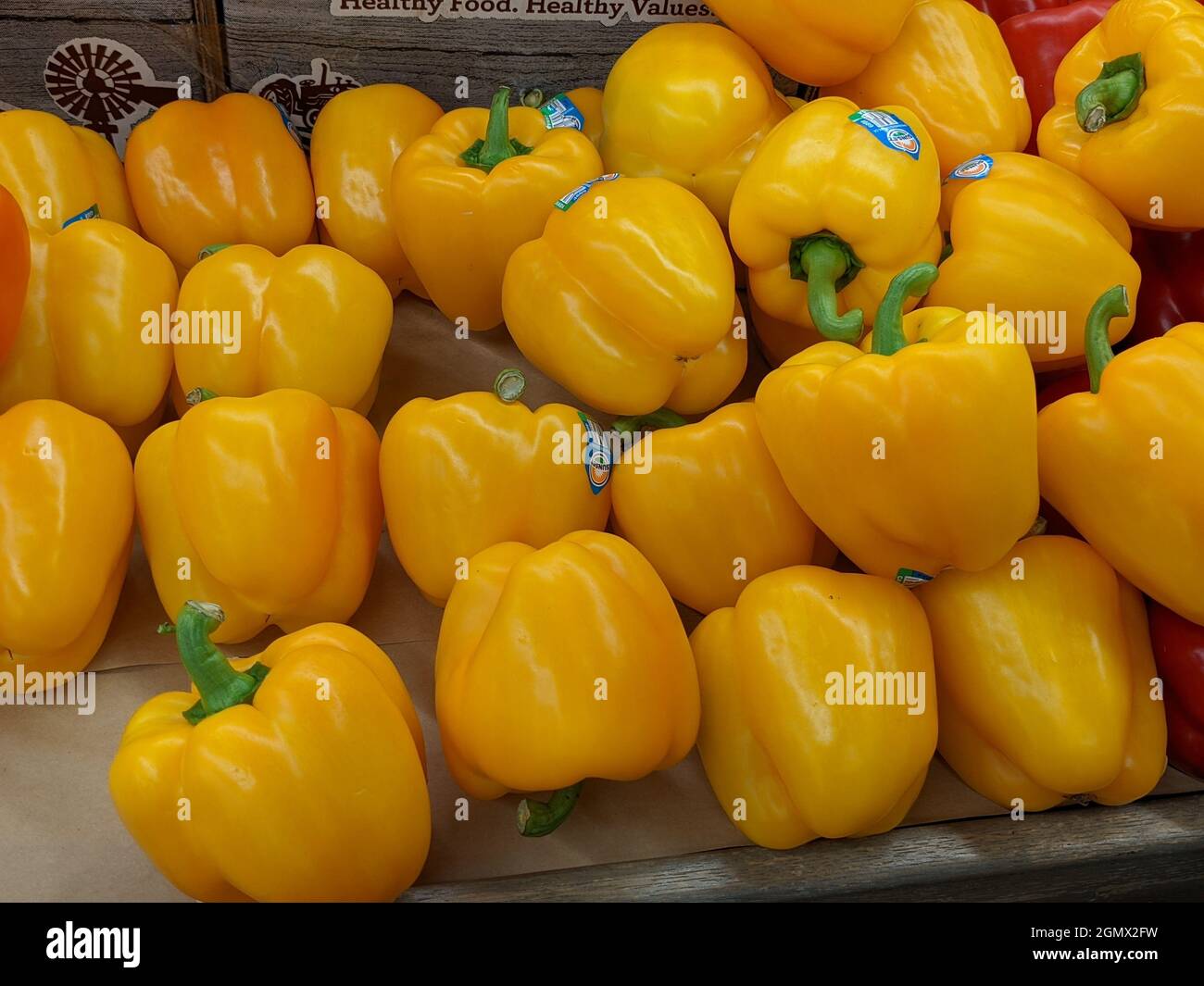 INDIANAPOLIS, UNITED STATES Aug 17, 2021 The various yellow bell peppers available for