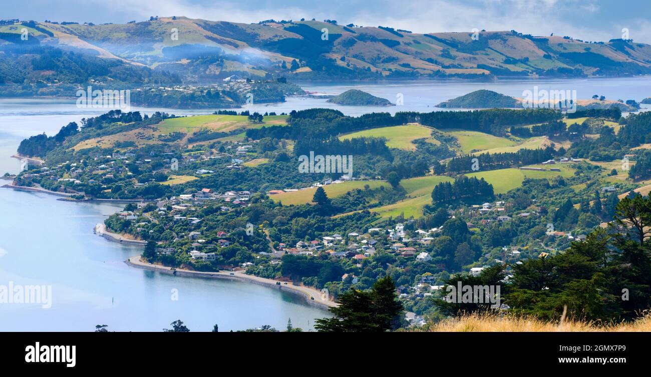 Otago, New Zealand South Island - 26 February 2019    A wildlife and scenic paradise, the Otago Peninsula is a long, hilly strip of land that forms th Stock Photo